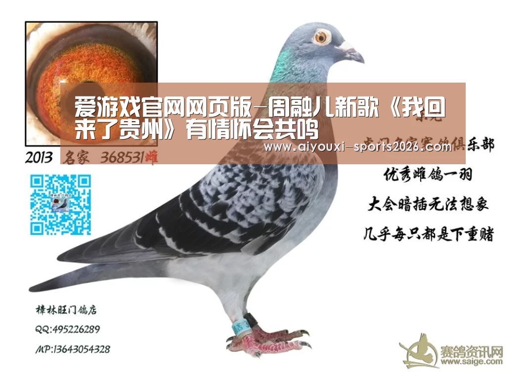 爱游戏娱乐入口