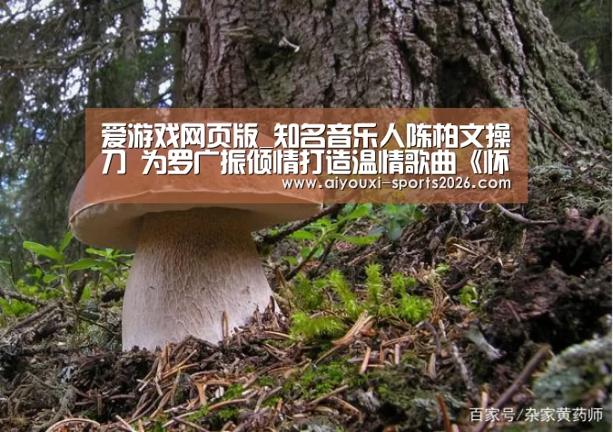 爱游戏网页版